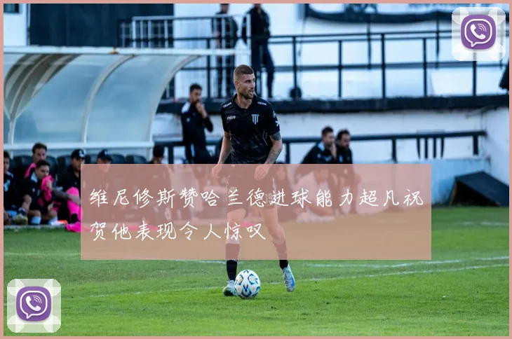 维尼修斯赞哈兰德进球能力超凡祝贺他表现令人惊叹