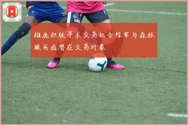 雄鹿积极寻求交易机会绿军与森林狼或成潜在交易对象
